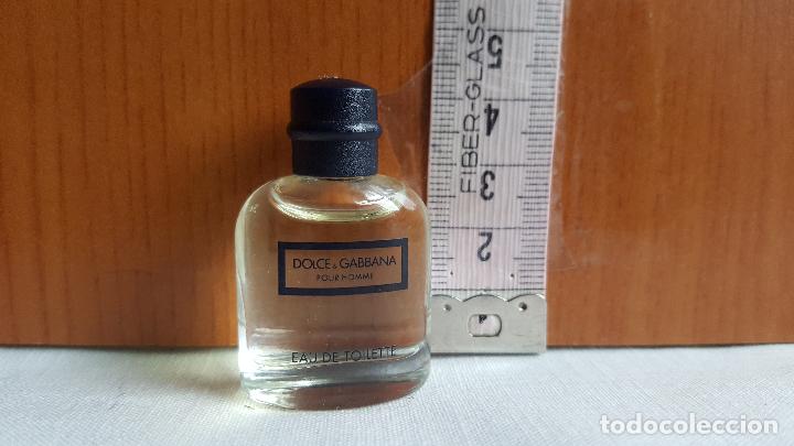 Miniaturas de perfumes antiguos: miniatura dolce gabbana - Foto 1