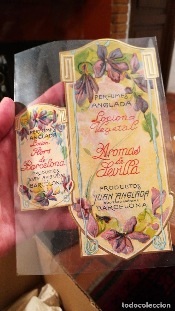 Miniaturen von alten Parf&uuml;men: LOTE 2 ETIQUETAS de PERFUMES ANGLADA, BARCELONA.