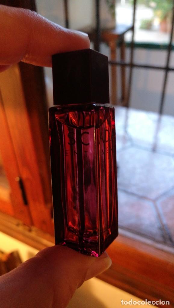Miniaturas de perfumes antiguos: ESCADA, MUESTRA FOR MEN SENTIMENT. - Foto 2