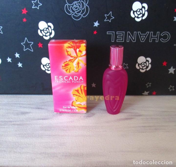 tropical punch escada perfume