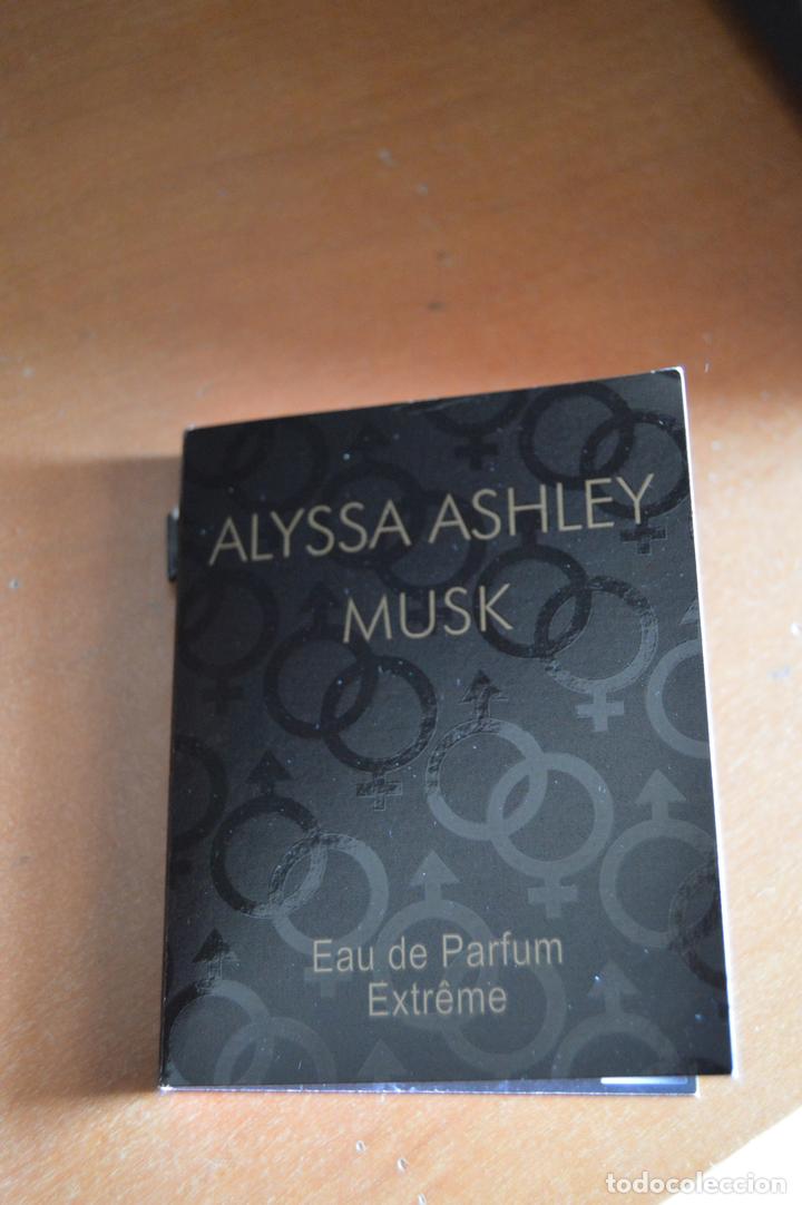 Miniaturas de perfumes antigos: MINIATURA PERFUME MUSK DE ALYSSA ASHLEY ,SIN USO