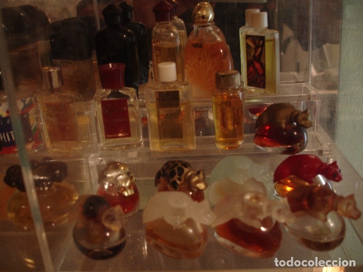 Miniaturas de perfumes antiguos: COLECCION DE MINIATURAS - Foto 4