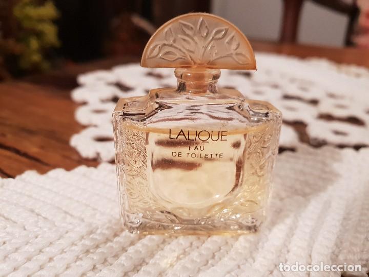 Miniaturas de perfumes antiguos: MINIATURA de LALIQUE - Foto 1