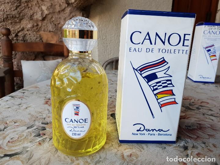Canoe de dana, 230 ml - Vendido en Venta Directa - 190070227