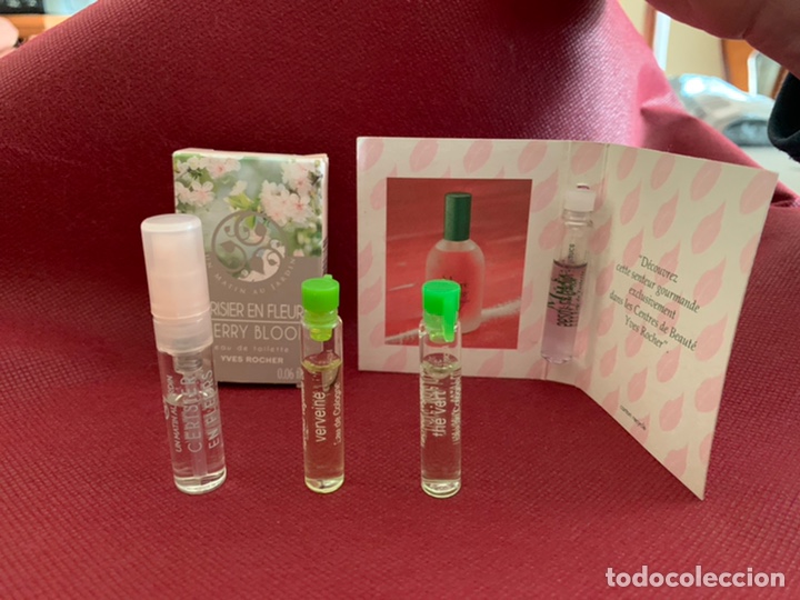 Miniaturas de perfumes antiguos: Muestras colonia botellitas Yves Rocher Lote 1