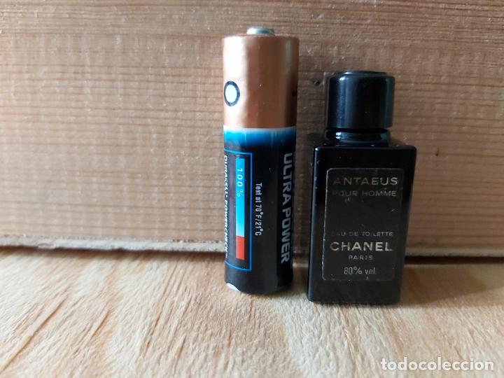 Miniaturas de perfumes antiguos: Miniatura antaeus vacio - Foto 1