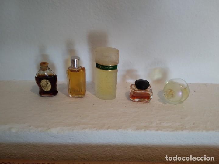 Miniaturas de perfumes antiguos: 5 miniaturas de perfumes - Foto 2