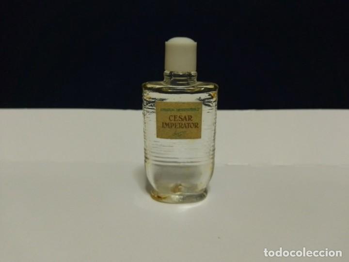 Miniaturas de perfumes antiguos: Miniatura Antigua C&eacute;sar Imperator de Perfumeria Segura. Masaje hemost&aacute;tico