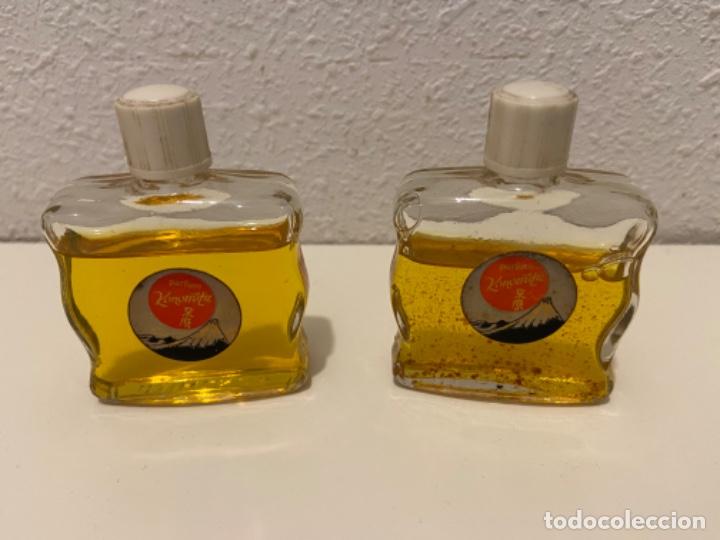 Miniaturas de perfumes antiguos: Perfumes antiguos - Foto 1