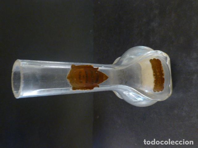 Pompeia Perfume – Lola's Botánica