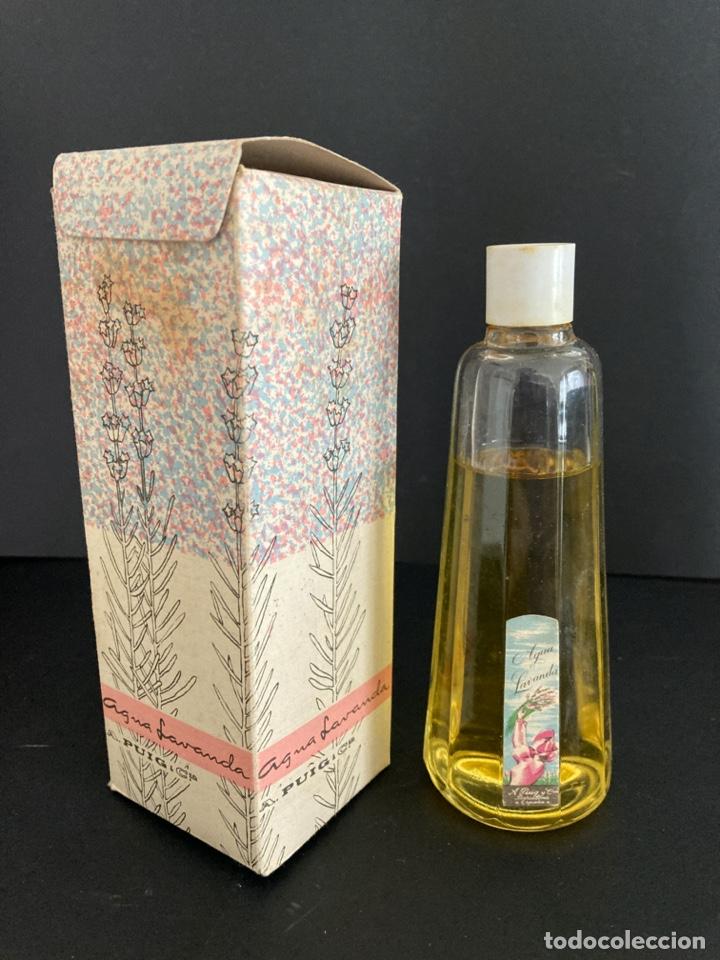 Polar Tratado Necesito perfume agua lavanda de a. puig & cia, barcelon - Comprar Miniaturas de  perfumes antiguos y envases en todocoleccion - 243899875