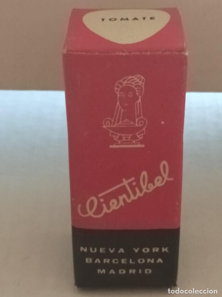 Miniaturas de perfumes antigos: CIENTIBEL, L&Aacute;PIZ LABIOS, ANTIGUA MUESTRA. COLOR TOMATE.