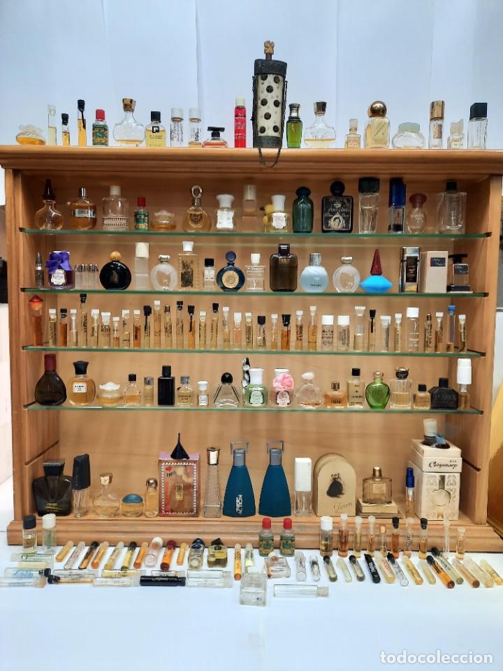 L'immensité – Fragancias Fiord – Decants de perfumes en México