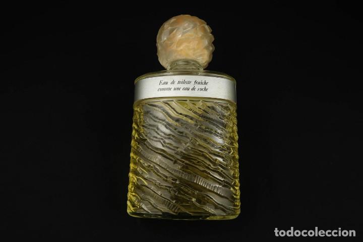 Miniaturas de perfumes antiguos: Antiguo Perfume Eau de Roche - Foto 8