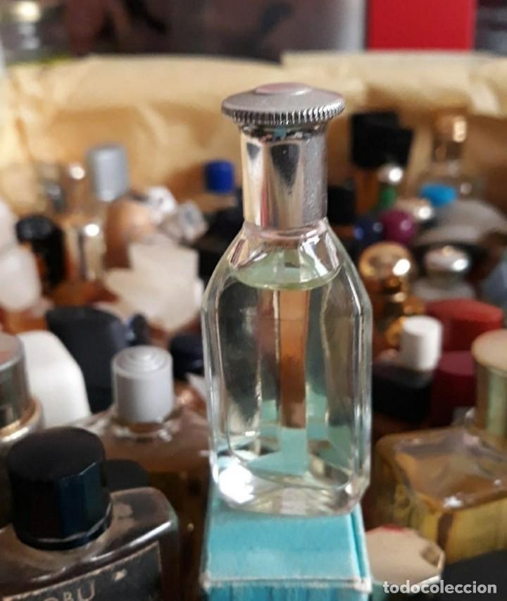 Miniaturas de perfumes antiguos: tommy hilfiger 5 ml - Foto 1 - 300492603