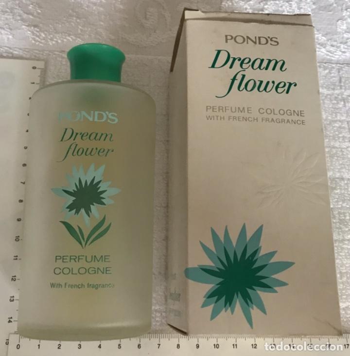 Miniaturas de perfumes antigos: CA 75 PERFUME COLONIA EAU COLOGNE TOILETTE DREAM FLOWER POND&rsquo;S VAC&Iacute;O