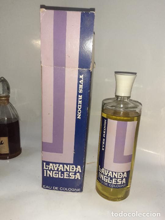 Miniaturas de perfumes antigos: FRASCO DE COLONIA LAVANDA INGLESA IVES REDON // DE ANTIGUA PERFUMERIA