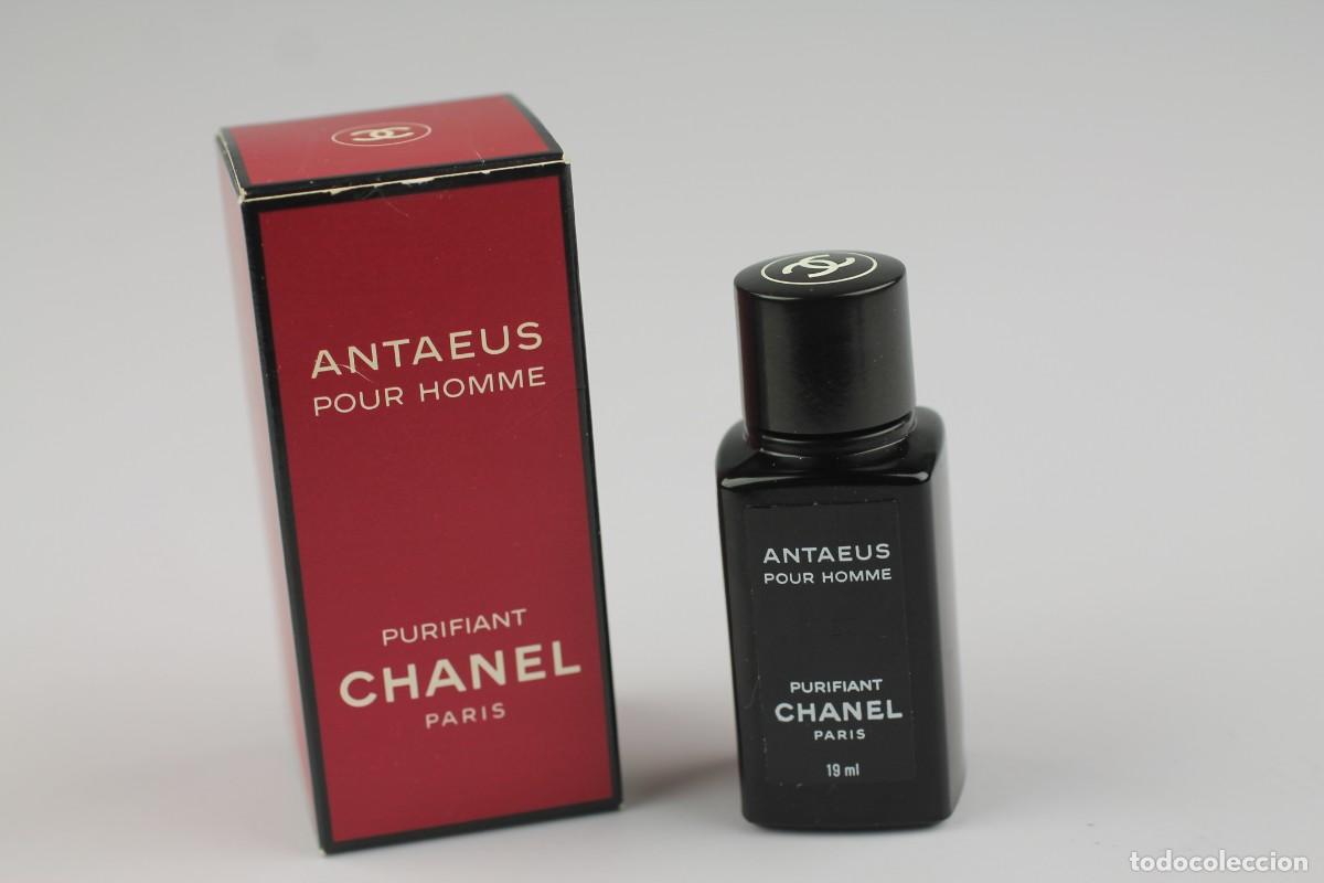 Antaeus Chanel Eau De Toilette 5ml Miniature Vintage Very  Etsy Australia