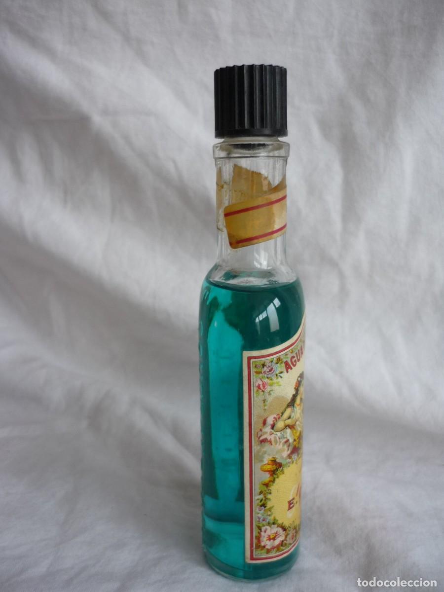 Miniaturas de perfumes antiguos: Frasco de perfume Agua divina E. Coudray - Foto 4