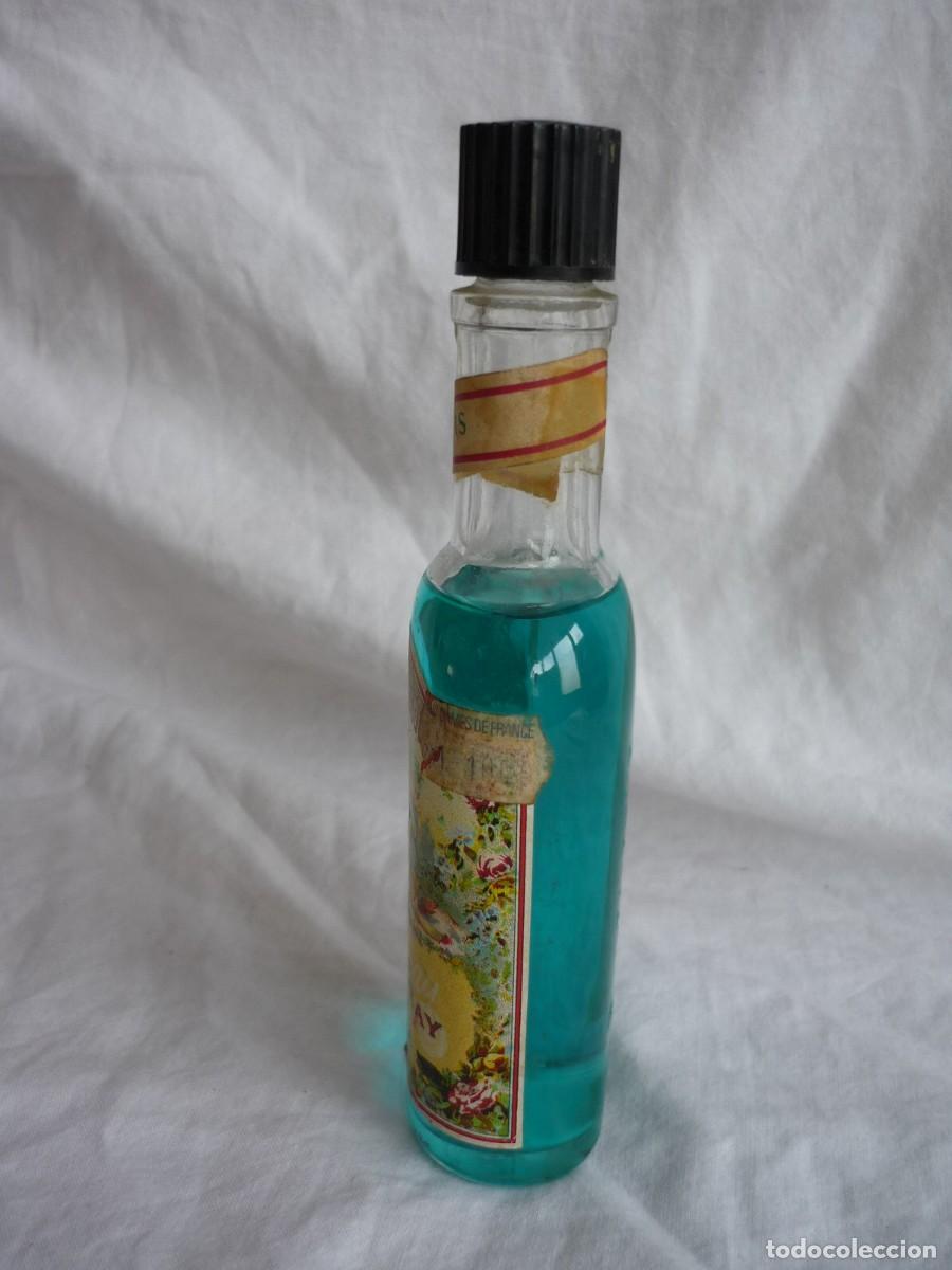 Miniaturas de perfumes antiguos: Frasco de perfume Agua divina E. Coudray - Foto 8