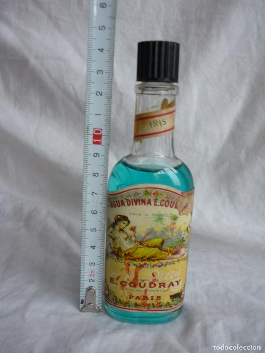 Miniaturas de perfumes antiguos: Frasco de perfume Agua divina E. Coudray - Foto 10