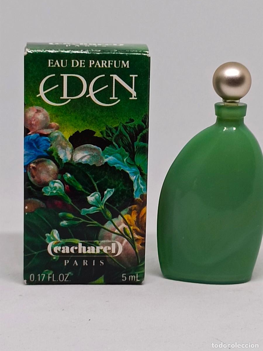 Miniaturas de perfumes antiguos: Miniatura perfume Cacharel Eden - Foto 1