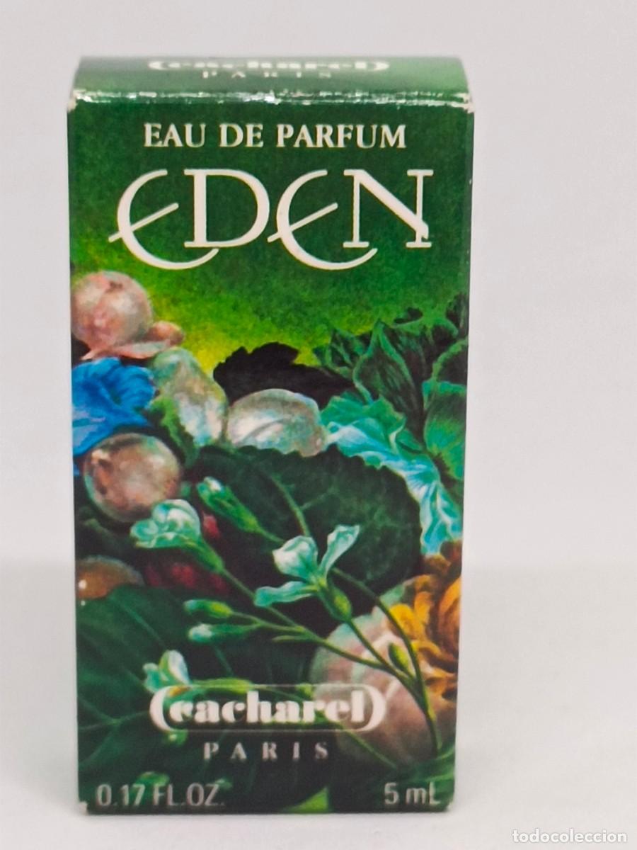 Miniaturas de perfumes antiguos: Miniatura perfume Cacharel Eden - Foto 2