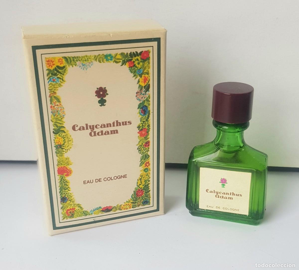 Miniaturas de perfumes antiguos: ADAM CALYCANTHUS EDC 6 cc. - Foto 1
