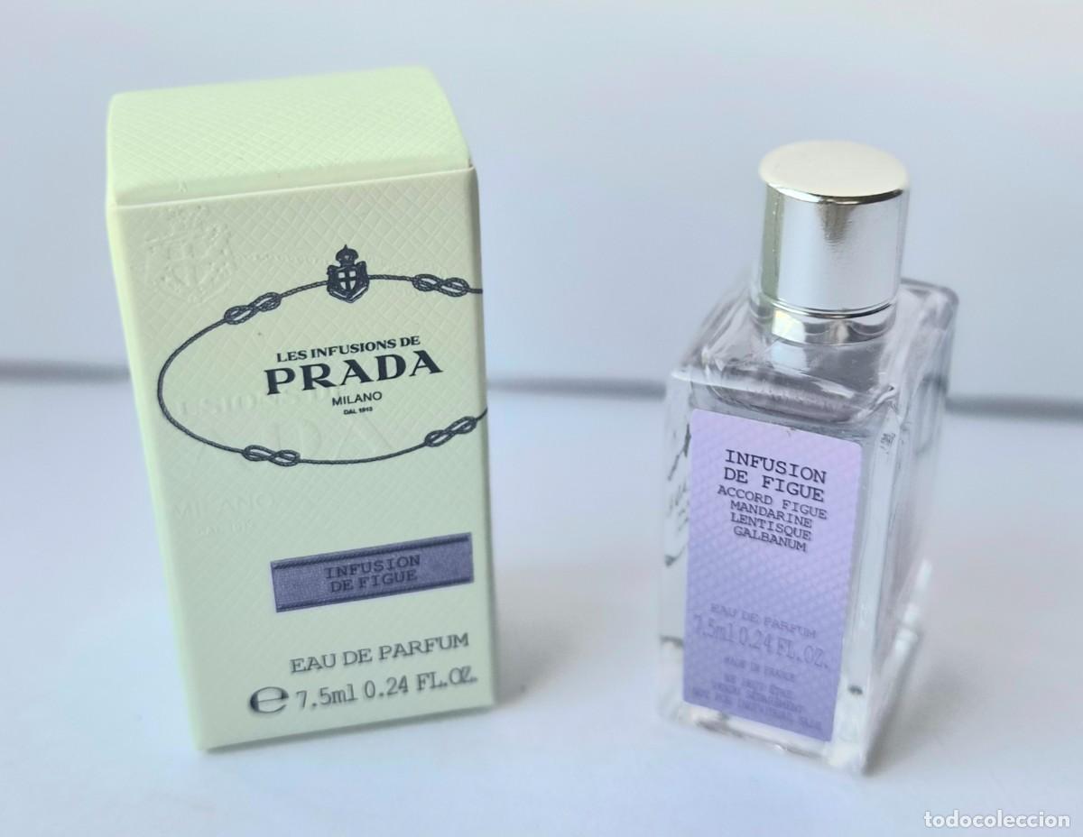 Miniaturas de perfumes antiguos: PRADA INFUSION DE FIGUE EDP 7,5 ml