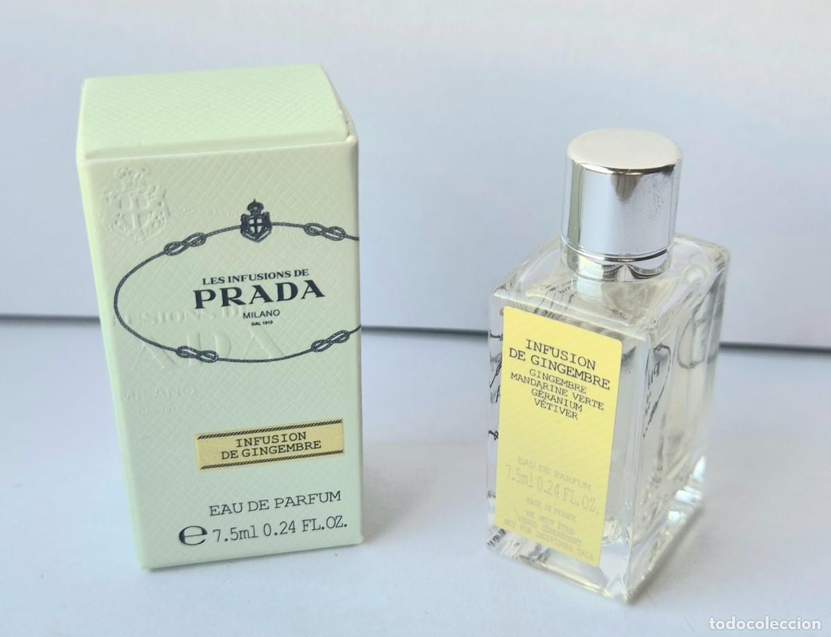 Miniaturas de perfumes antiguos: PRADA INFUSION DE GINGEMBRE EDP 7,5 ml - Foto 1