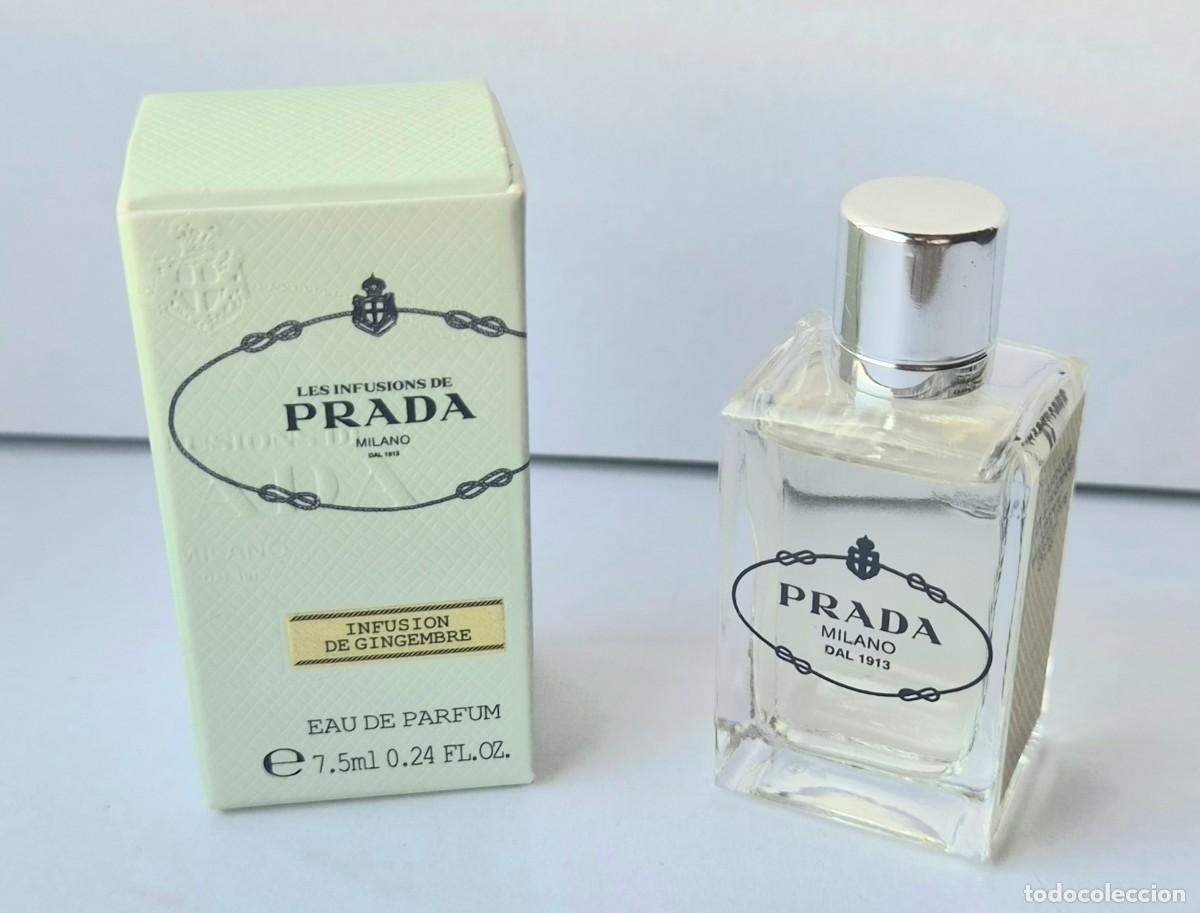 Miniaturas de perfumes antiguos: PRADA INFUSION DE GINGEMBRE EDP 7,5 ml - Foto 2