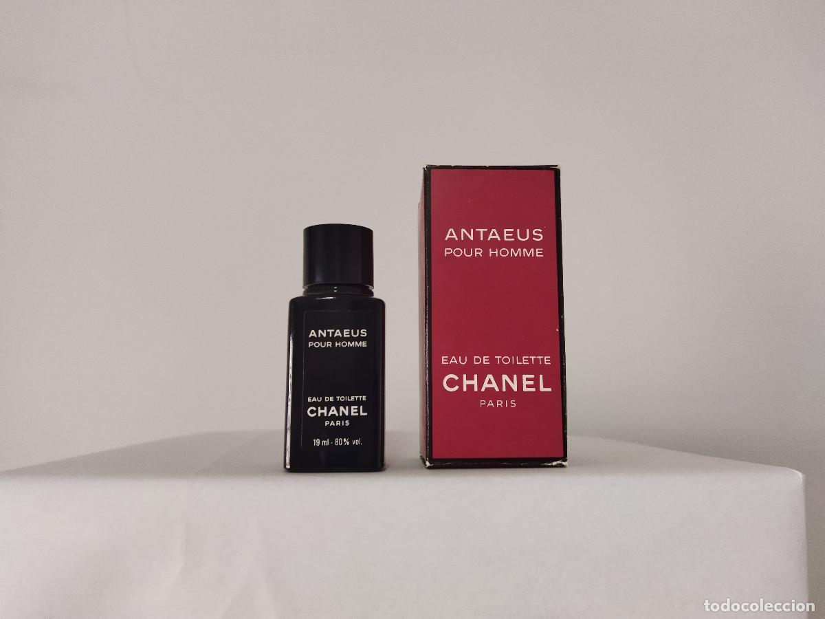 Miniaturas de perfumes antiguos: Miniatura de perfume Antaeus de Chanel