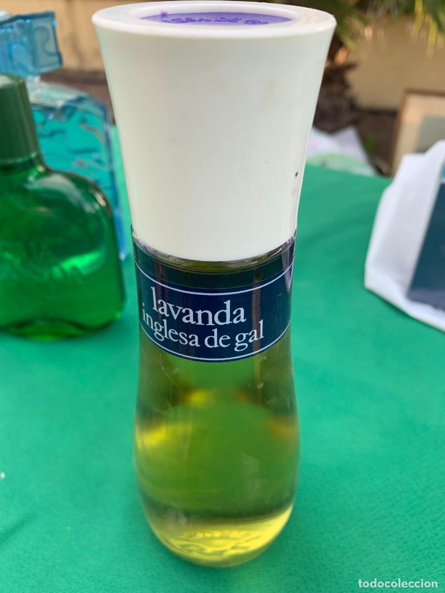 Miniaturas de perfumes antiguos: LAVANDA INGLESA DE GAL - Foto 1