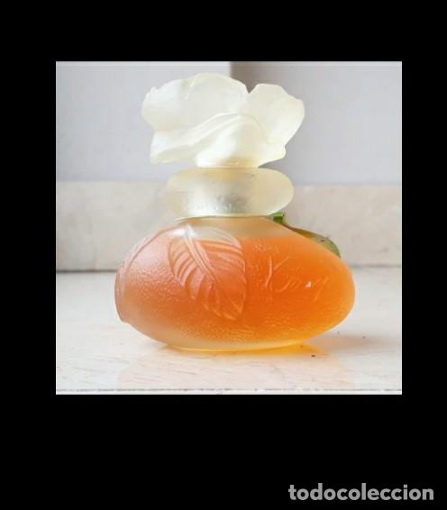 &Eacute;chantillons de parfums anciens: Perfume Kenzo Vintage 100ml