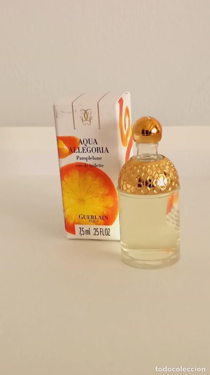 Miniaturas de perfumes antiguos: Miniatura Guerlain Aqua Allegoria Pamplelune EDT 7,5 ml &ndash; Con Caja