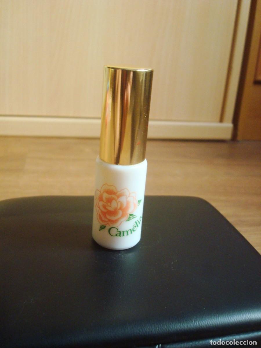 Miniaturas de perfumes antiguos: Cam&eacute;lia (miniatura perfume colonia) vintage