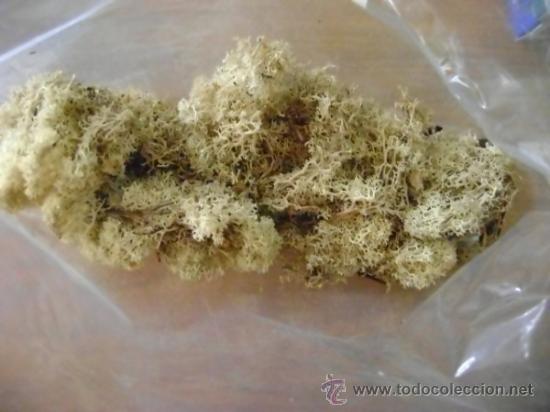 Hobbys: Camuflaje tipo vegetaci&oacute;n para escenario - Foto 1