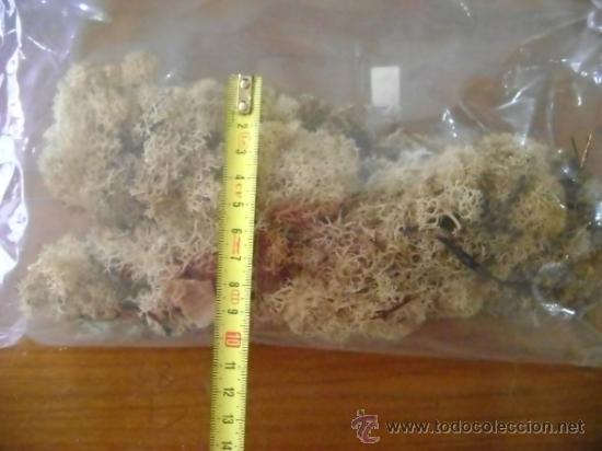 Hobbys: Camuflaje tipo vegetaci&oacute;n para escenario - Foto 3