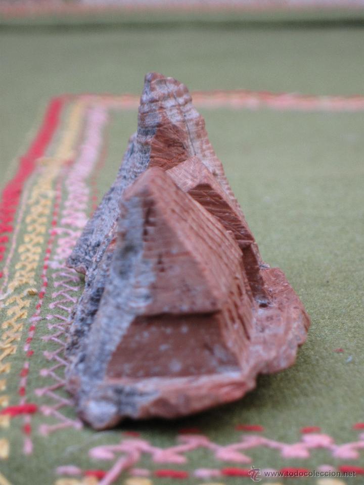 Hobbys: MINIATURA DE CASAS Y MONTE REALIZADO EN CORCHO. - Foto 5