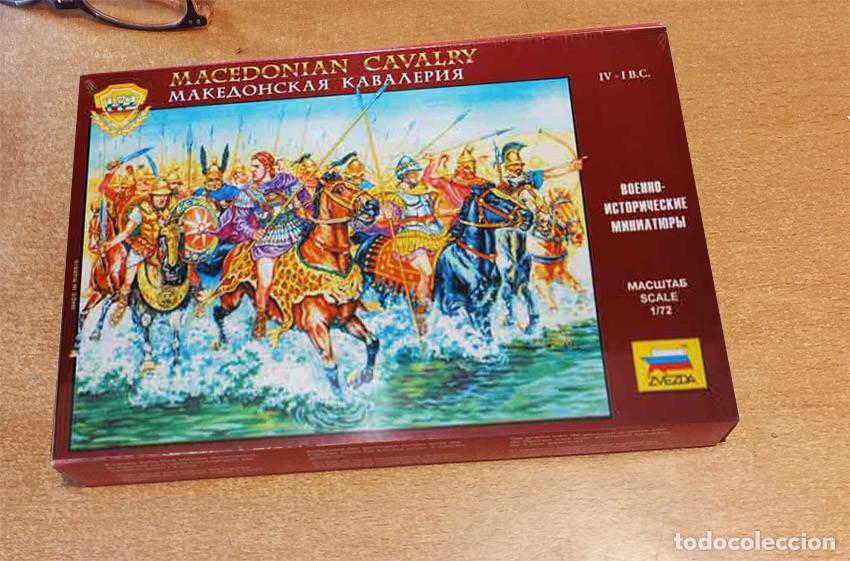 Hobbys: Caballer&iacute;a Macedonia de la &eacute;poca de Alejandro Magno (siglos IV-III a.C.) de Zvezda a 1/72