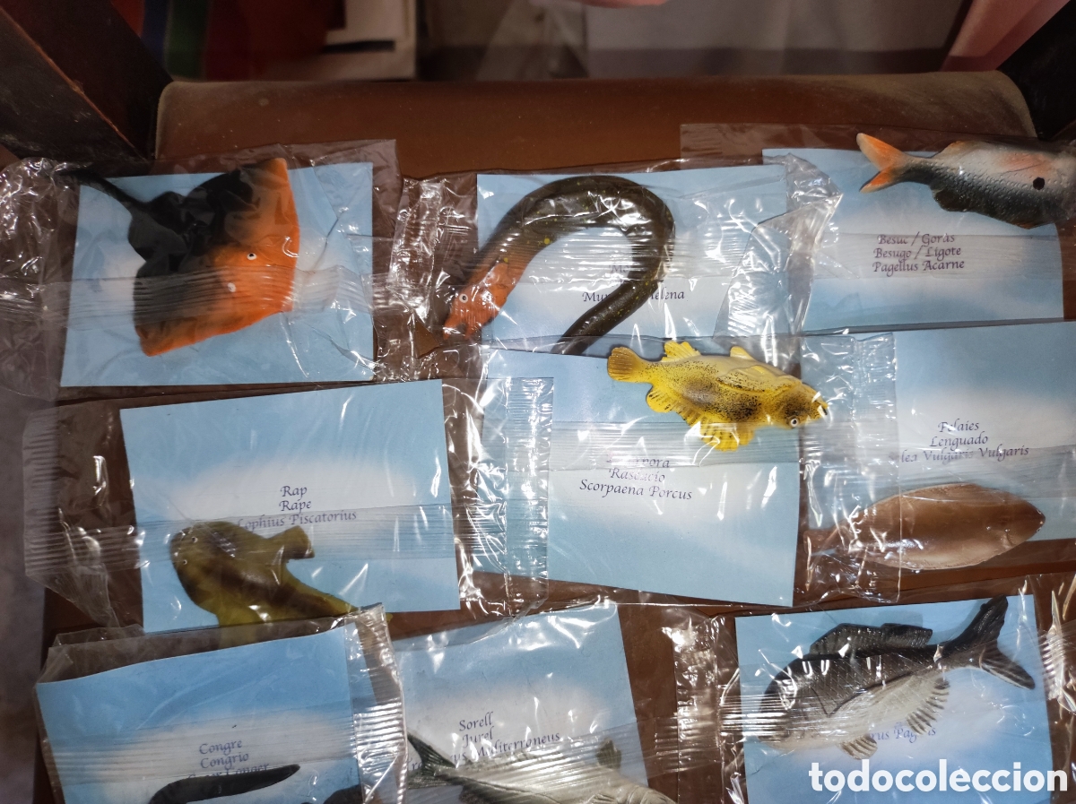Hobbys: Lote figuras cer&aacute;mica peces del Mediterr&aacute;neo