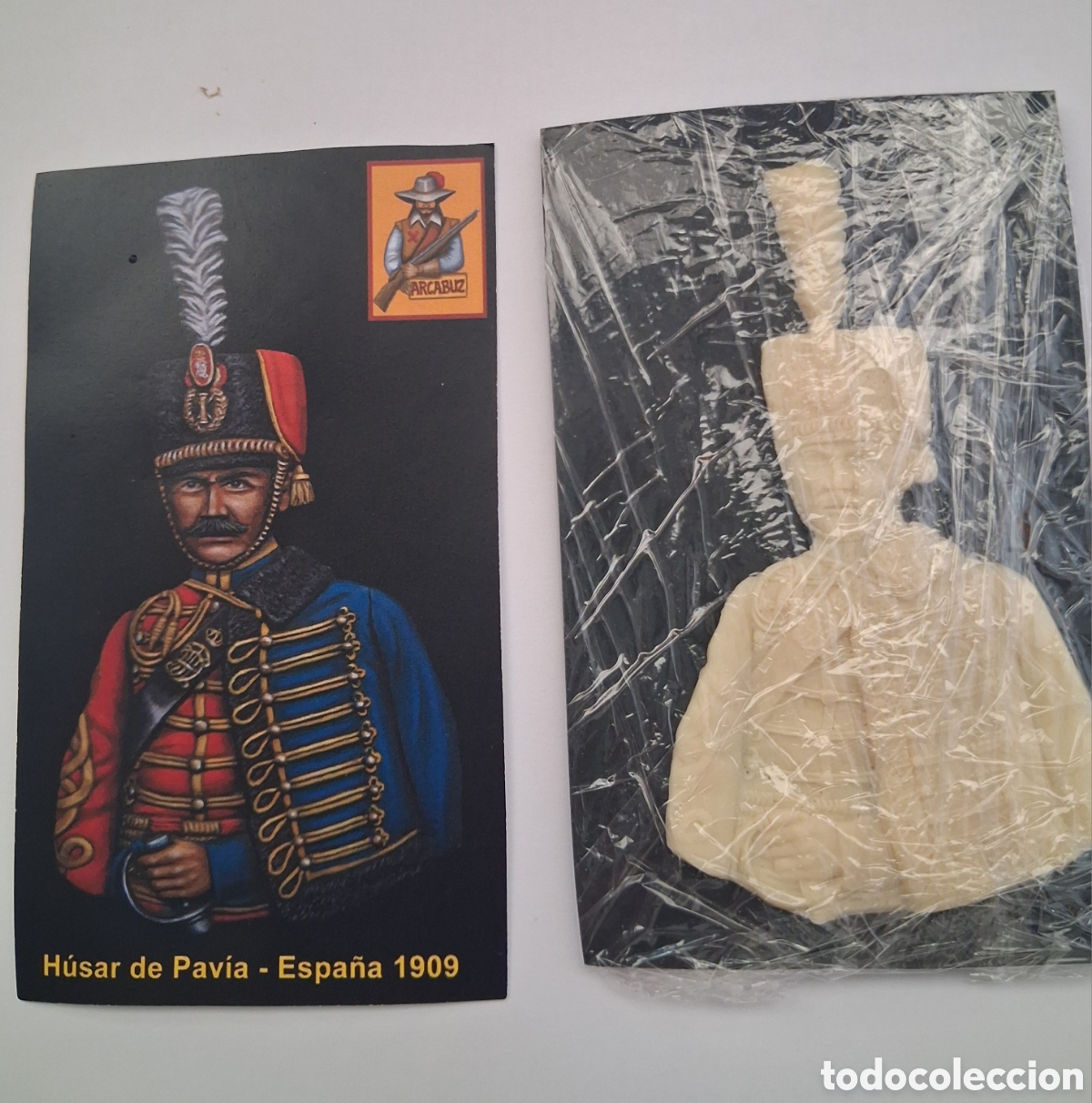 Hobbys: Busto plano en resina de Husar de Pav&iacute;a