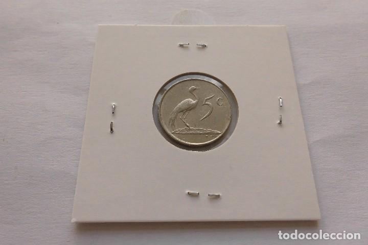 Monedas antiguas de &Aacute;frica: Sudafrica 5 Cent 1977 - Foto 2