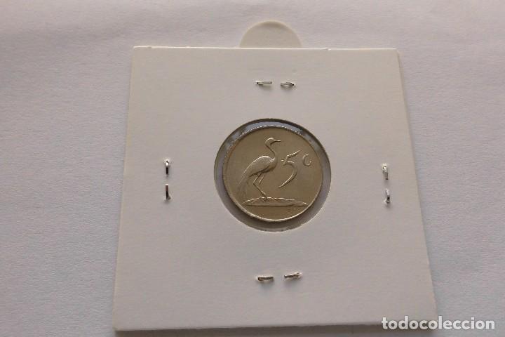 Monedas antiguas de &Aacute;frica: Sudafrica 5 Cent 1981 - Foto 2
