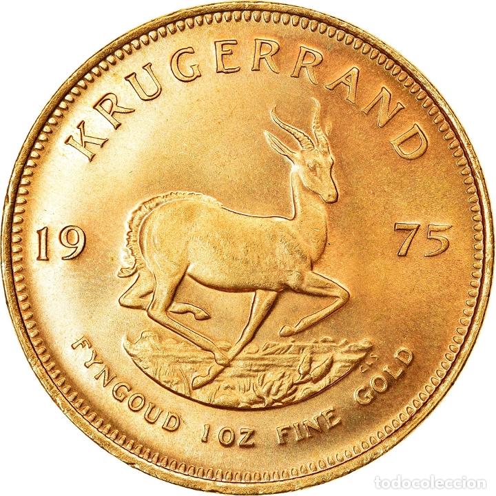 moneda, sudáfrica, krugerrand, 1975, sc+, oro, - Comprar Monedas