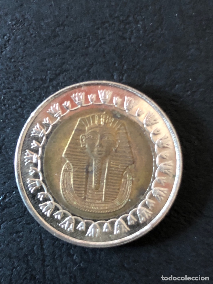 Monedas antiguas de &Aacute;frica: Moneda 1 Libra Egipto. - Foto 2