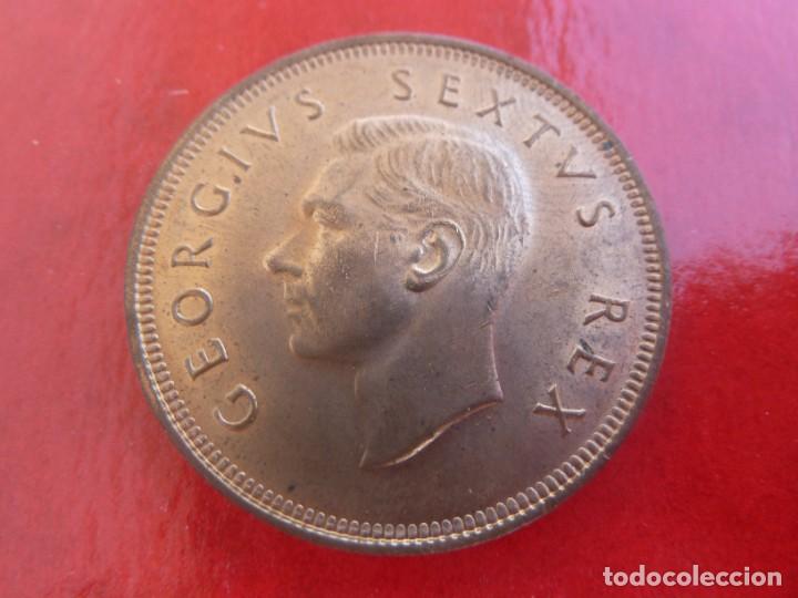 Old Coins of Africa: SUDAFRICA 1 PENNY 1950 COBRE S/C