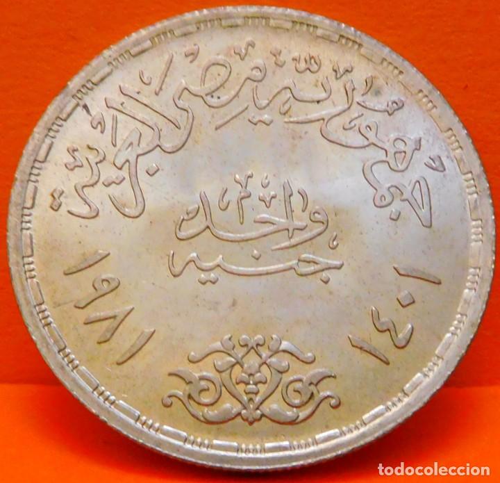 Monedas antiguas de &Aacute;frica: EGIPTO, POUND. PLATA. SC. (1397) - Foto 2