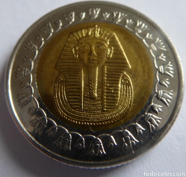 Monedas antiguas de &Aacute;frica: Moneda de 1 libra Egipto - Foto 2