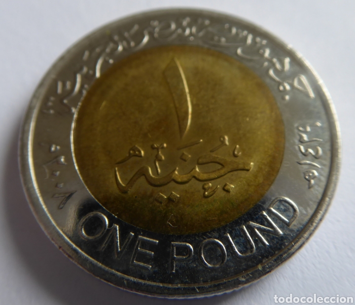 Monedas antiguas de &Aacute;frica: Moneda de 1 libra Egipto - Foto 1